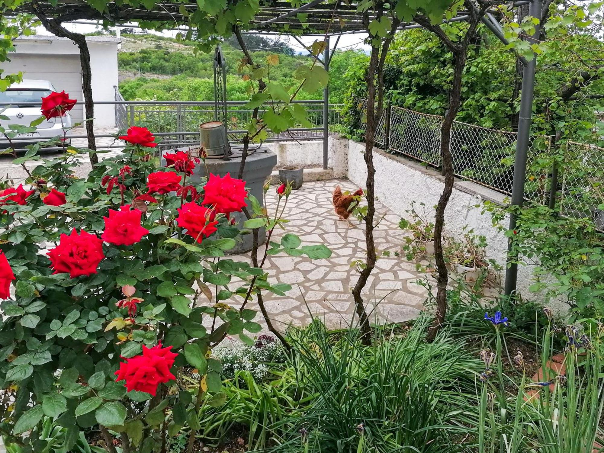 Apartman Lavanda Sa Bazenom I Okucnicom 4* Hreljin Esterno foto