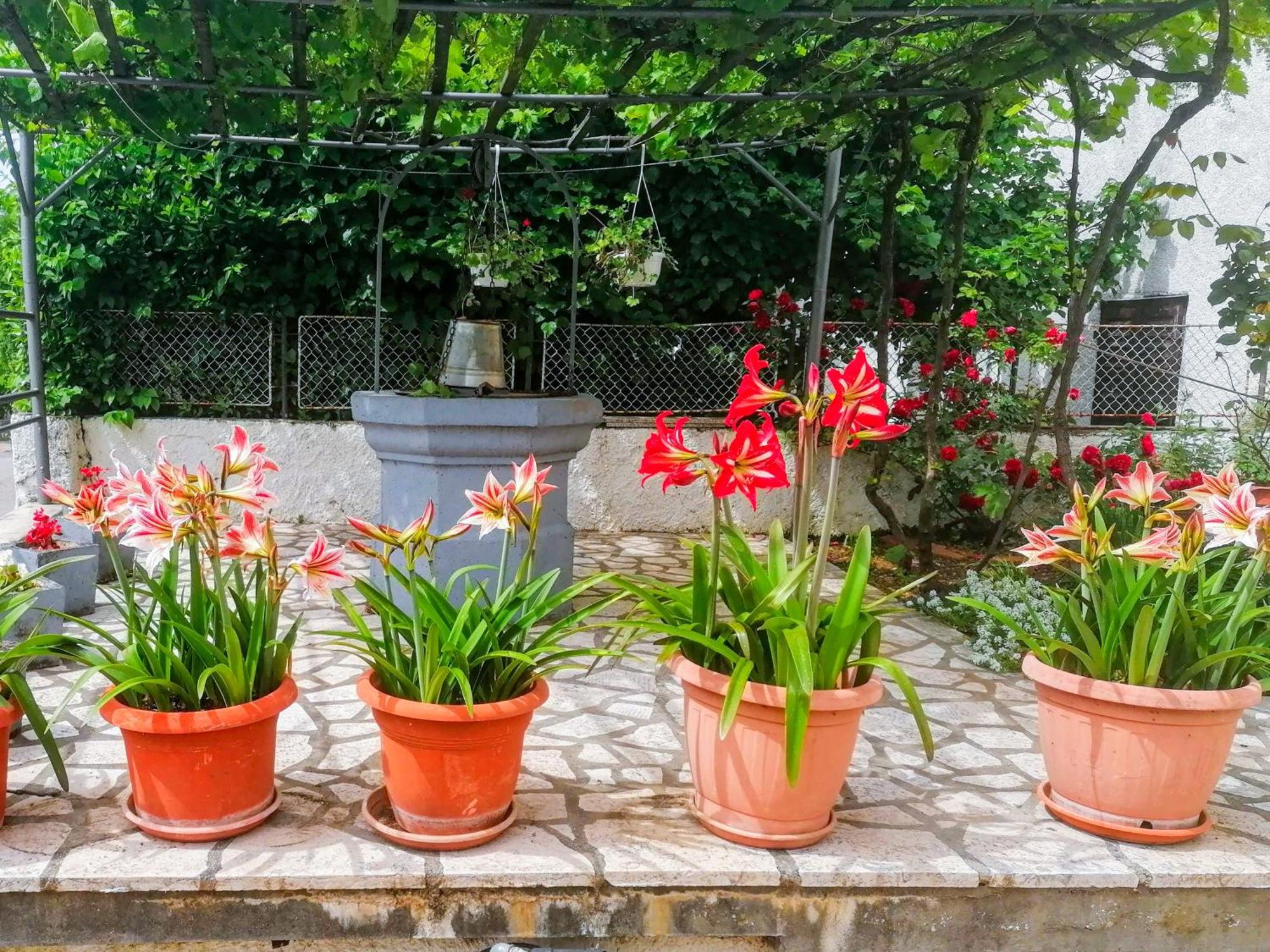 Apartman Lavanda Sa Bazenom I Okucnicom 4* Hreljin Esterno foto