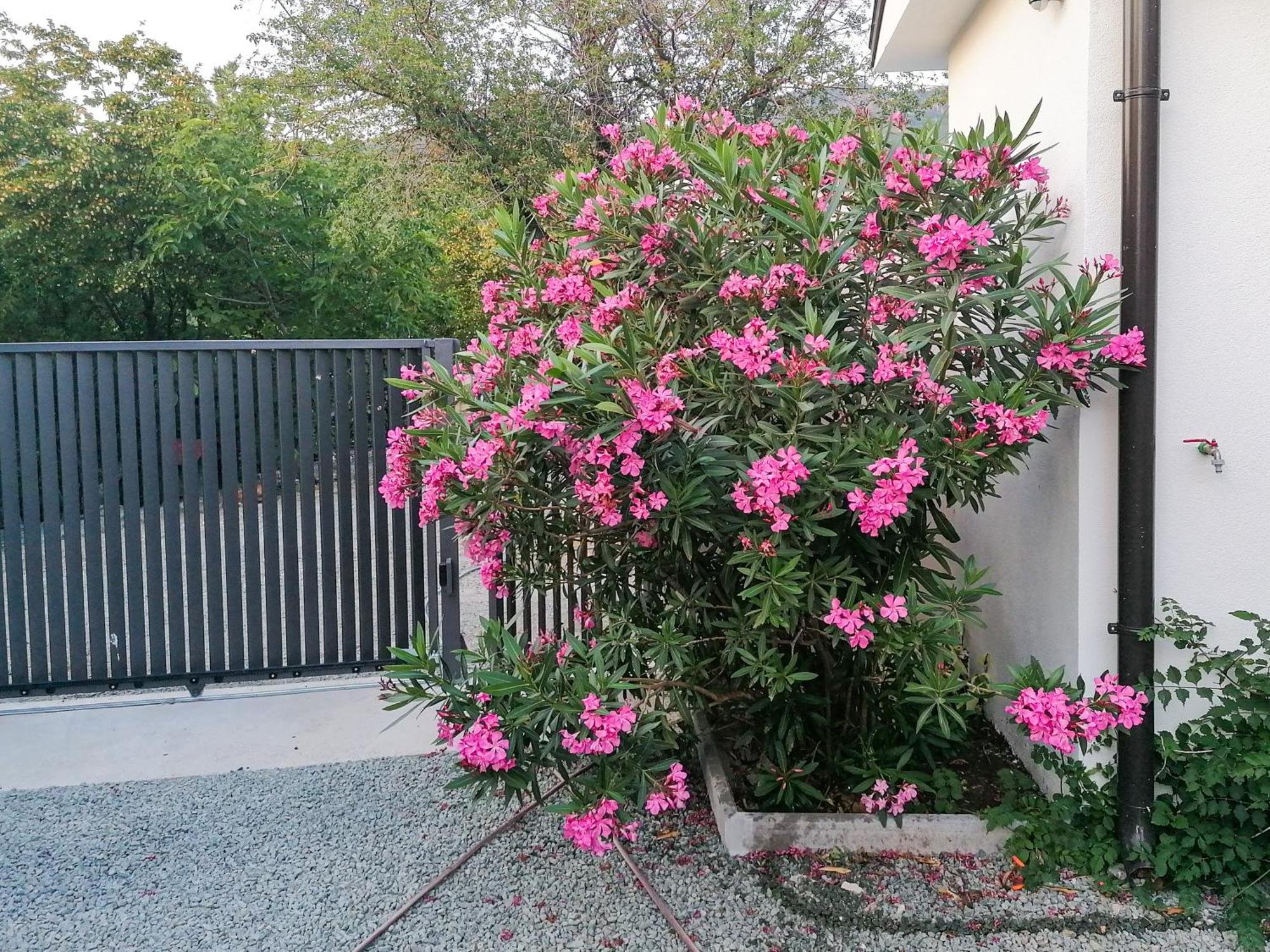 Apartman Lavanda Sa Bazenom I Okucnicom 4* Hreljin Esterno foto