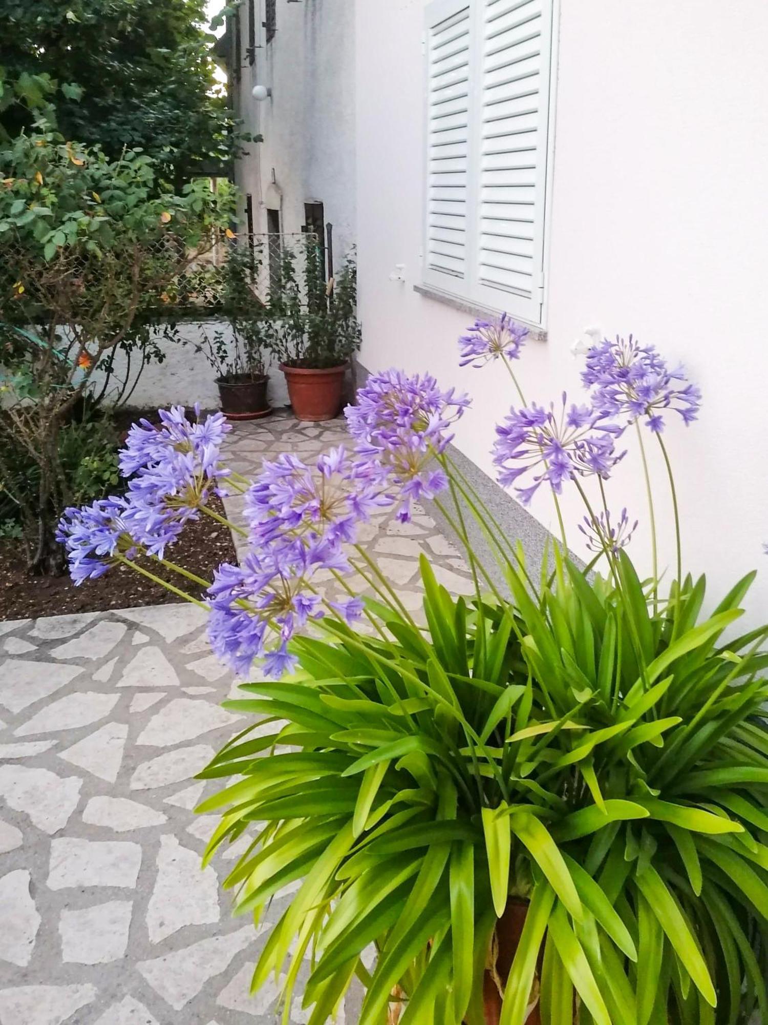 Apartman Lavanda Sa Bazenom I Okucnicom 4* Hreljin Esterno foto